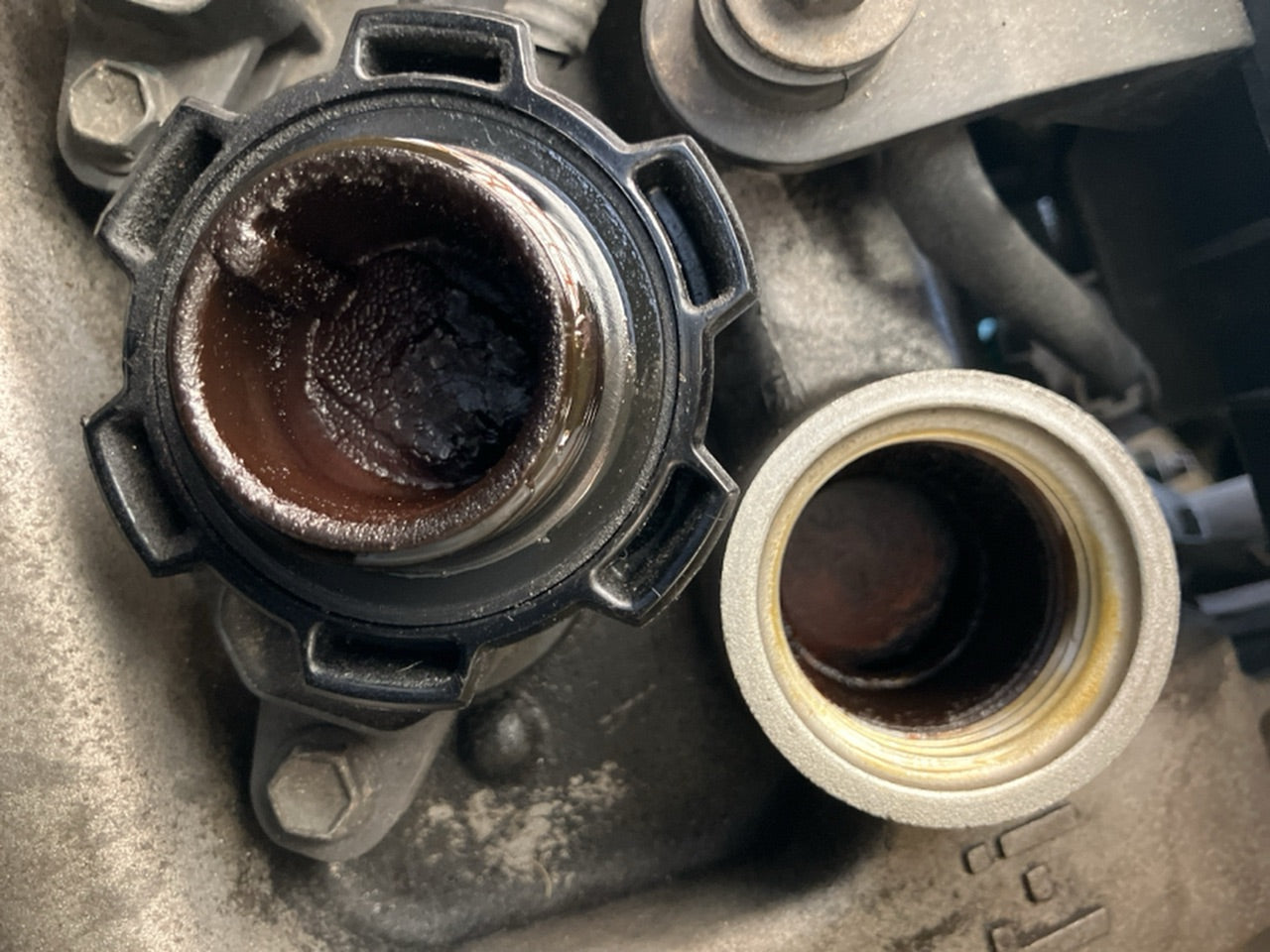 [CHOOSE PARTS] TOYOTA PRIUS NHW10 1999 1NZ-FXE FF AT 2WD #0001000015175