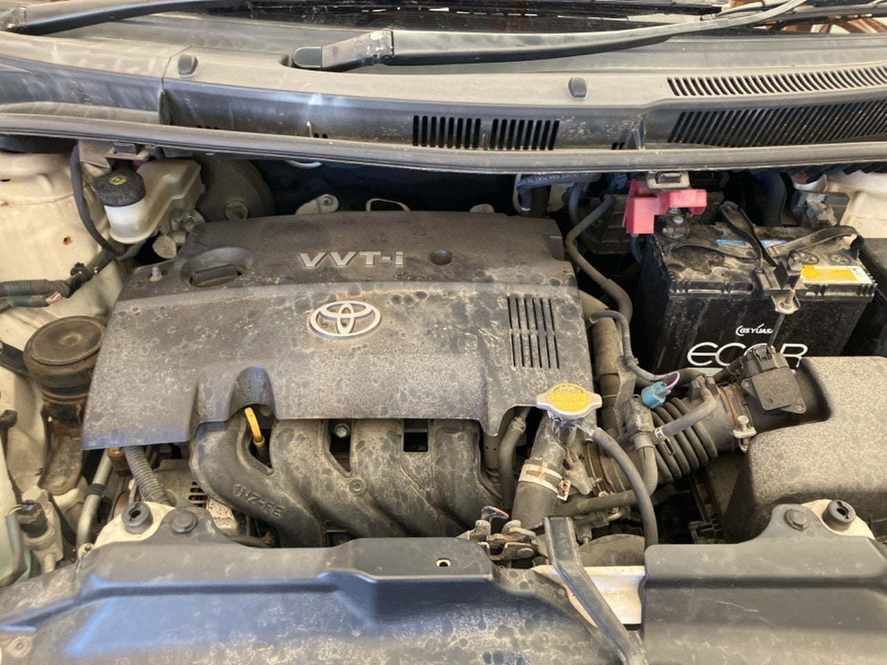 [CHOOSE PARTS] TOYOTA RACTIS NCP100 2005 1NZ-FE FF AT 2WD #0001000015822