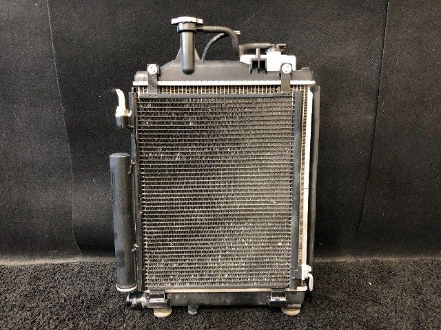 [RADIATOR] NISSAN ROOX B44A  BR06 FF AT 2WD #000325A977071
