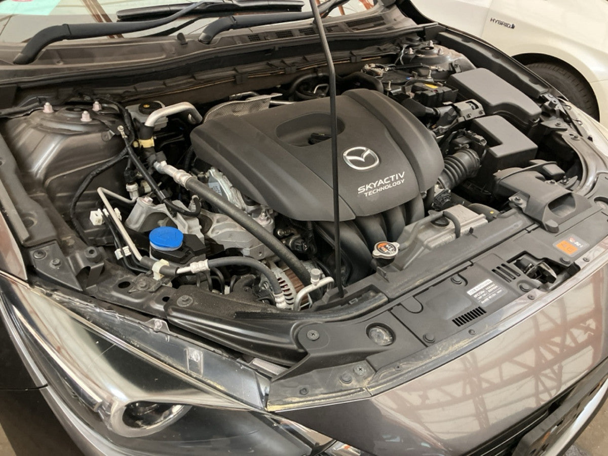 [FENDER RH] MAZDA AXELA SPORT BM5FS 2017 P5-VPS FF MT 2WD #0003264066654